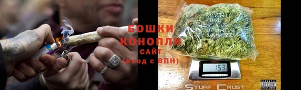 PSILOCYBIN Богородицк