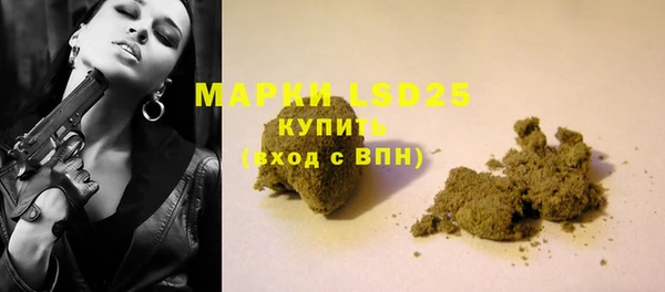 PSILOCYBIN Богородицк
