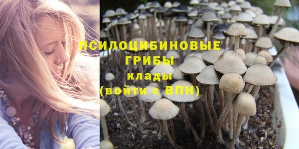 PSILOCYBIN Богородицк