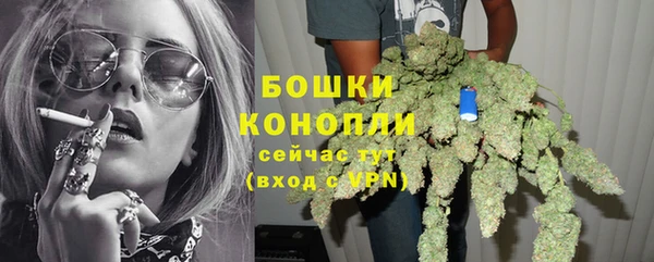 PSILOCYBIN Богородицк