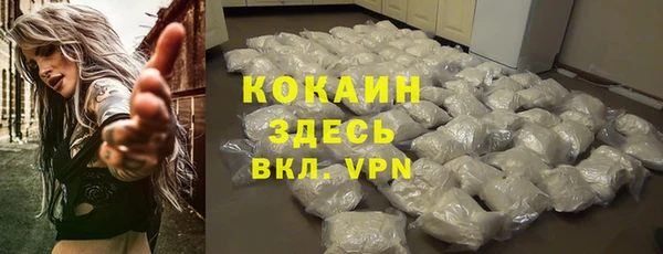PSILOCYBIN Богородицк