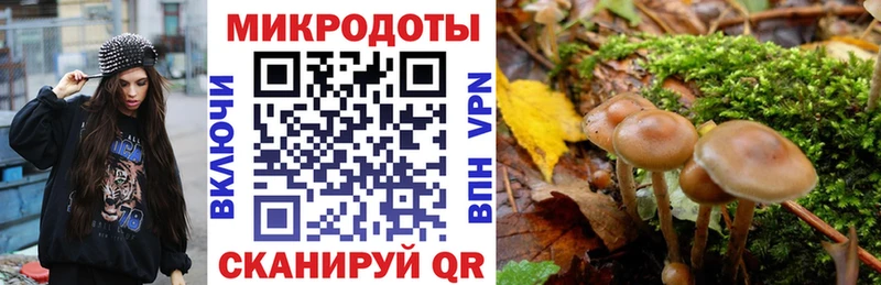 наркота  МЕГА как зайти  Псилоцибиновые грибы Psilocybe  Высоцк 